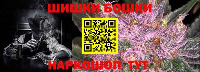 прущие крисы Будённовск