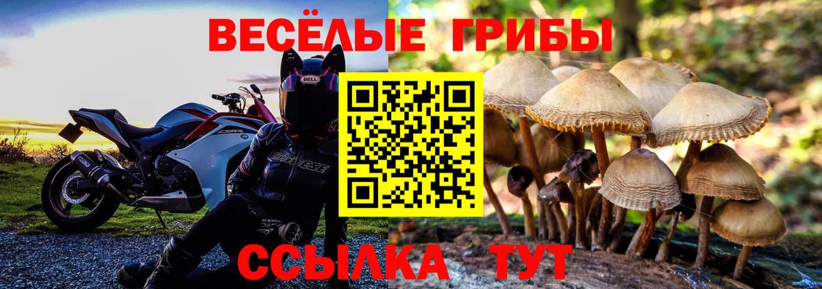 Галлюциногенные грибы Magic Shrooms Чистополь